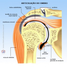 096_articulacao_ombro